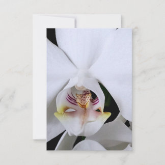 Tarjeta de agradecimiento de flor de orquídea blan