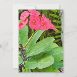 Tarjeta de agradecimiento de flor rosa