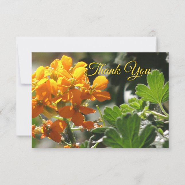 Tarjeta de agradecimiento de Flor Salvaje (Anverso)