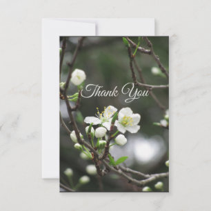 Tarjeta de agradecimiento de floración primaveral 