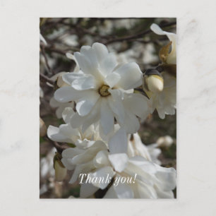 Tarjeta de agradecimiento de flores de magnolia es