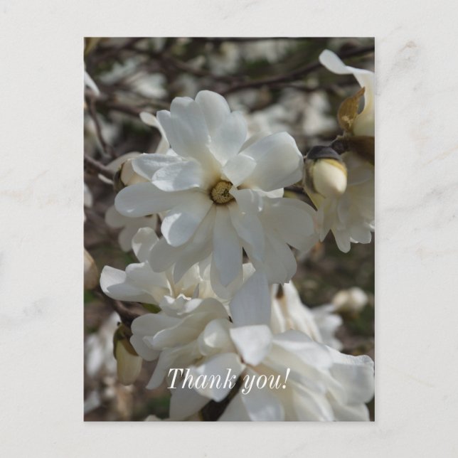 Tarjeta de agradecimiento de flores de magnolia es (Anverso)
