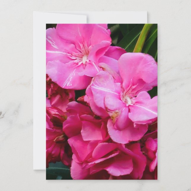 Tarjeta de agradecimiento de flores rosas (Anverso)