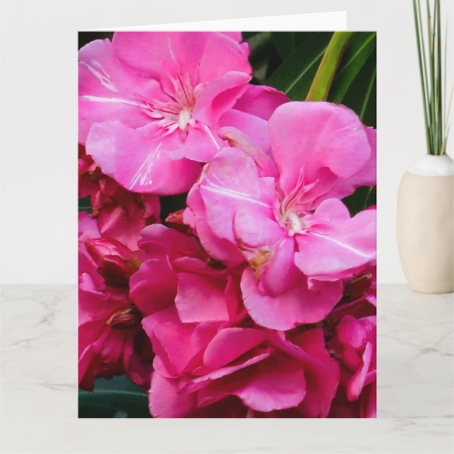 Tarjeta de agradecimiento de flores rosas (Anverso)