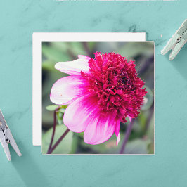 Tarjeta de agradecimiento de Frilly Pink y Magenta