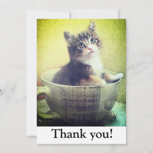 tarjeta de agradecimiento de gatito en taza