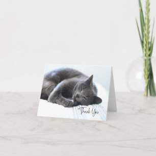 Tarjeta de agradecimiento de gato gris lindo