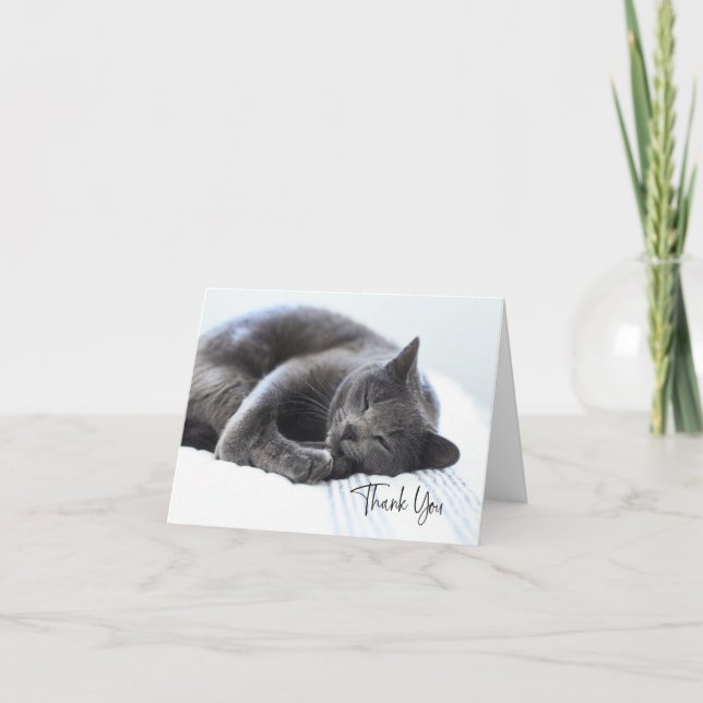Tarjeta de agradecimiento de gato gris lindo (Anverso)
