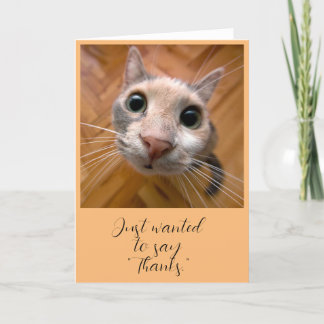 Tarjeta de agradecimiento de gato jengibre