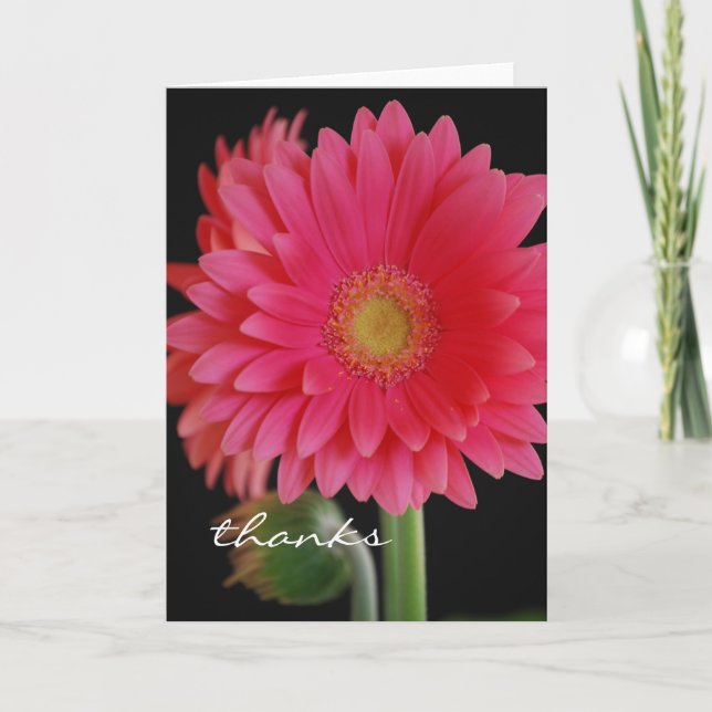 Tarjeta de agradecimiento de gerbera rosa (Anverso)