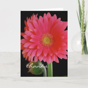Tarjeta de agradecimiento de gerbera rosa