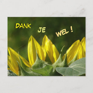 Tarjeta de agradecimiento de girasol