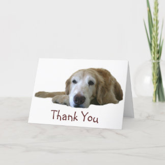 Tarjeta de agradecimiento de Golden Retriever