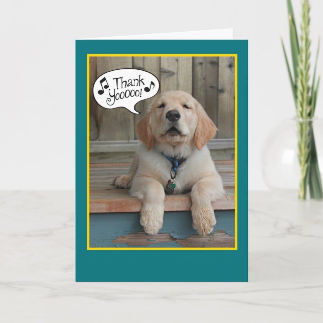 Tarjeta de agradecimiento de Golden Retriever Sing (Anverso)