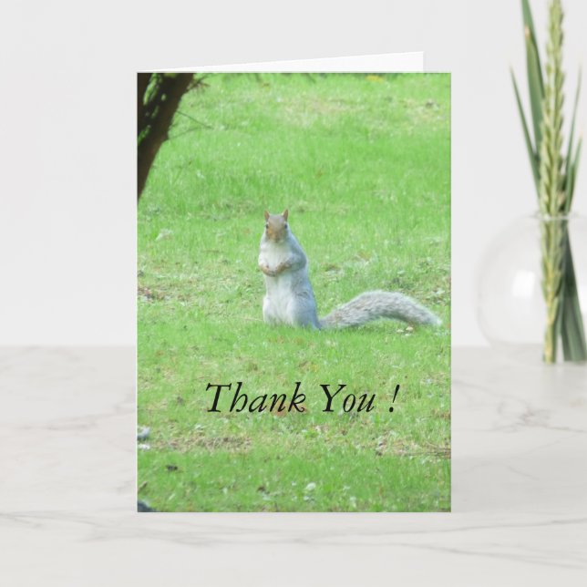 Tarjeta de agradecimiento de Gray Squirrel (Anverso)