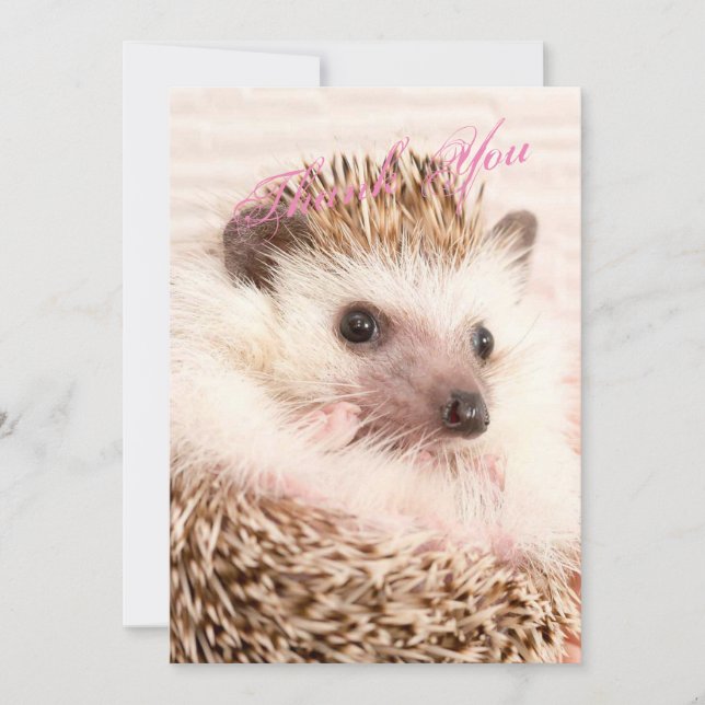 Tarjeta de agradecimiento de Hedgehog (Anverso)