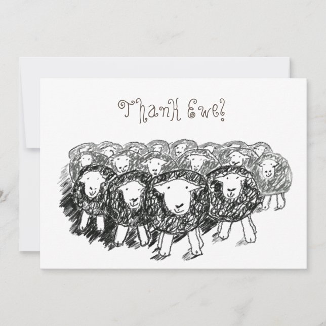 Tarjeta de agradecimiento de Herdwick Flock (Anverso)