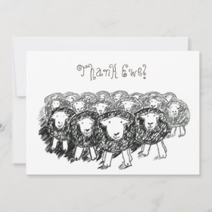 Tarjeta de agradecimiento de Herdwick Flock