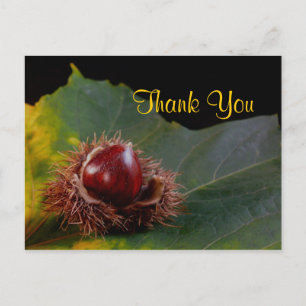 Tarjeta de agradecimiento de hoja de otoño con nue