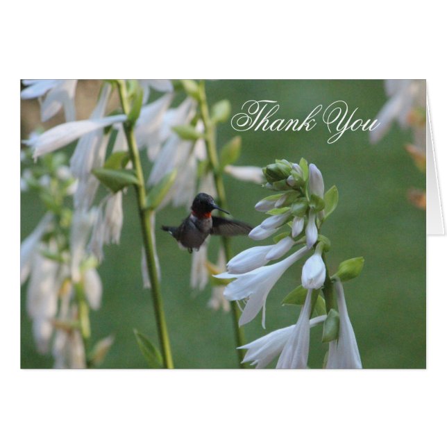 Tarjeta de agradecimiento de Hummingbird (Anverso (Horizontal))