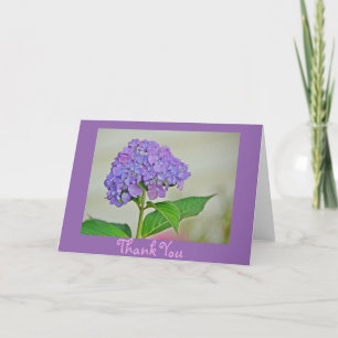 Tarjeta de agradecimiento de Hydrangea
