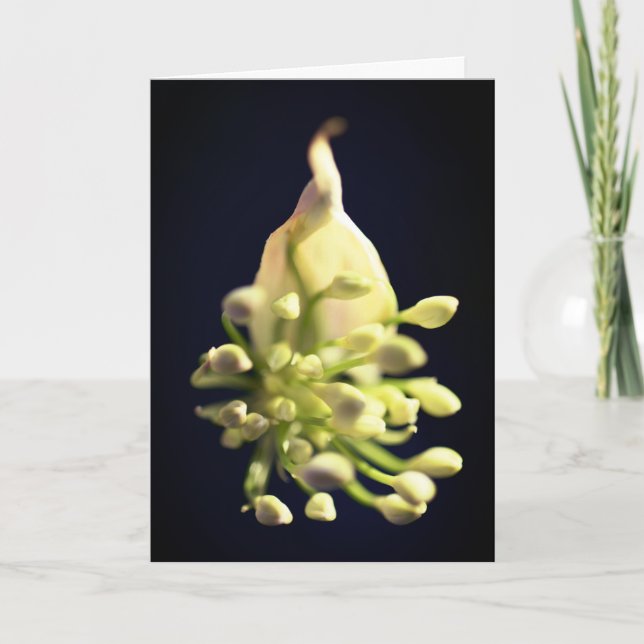 Tarjeta de agradecimiento de impresión floral dobl (Anverso)