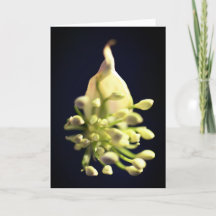 Tarjeta de agradecimiento de impresión floral dobl