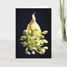 Tarjeta de agradecimiento de impresión floral dobl