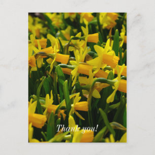 Tarjeta de agradecimiento de la familia Daffodil