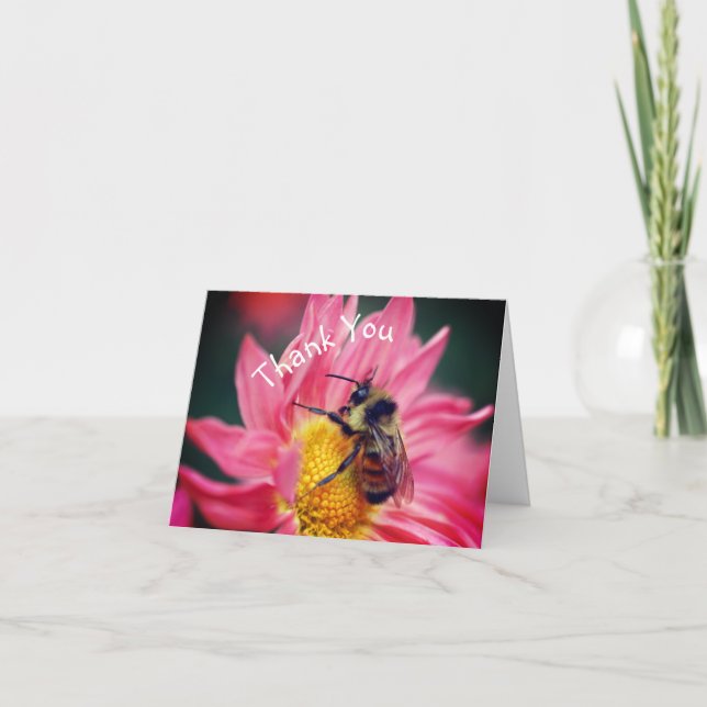 Tarjeta De Agradecimiento De La Flor De Daisy Rosa (Anverso)