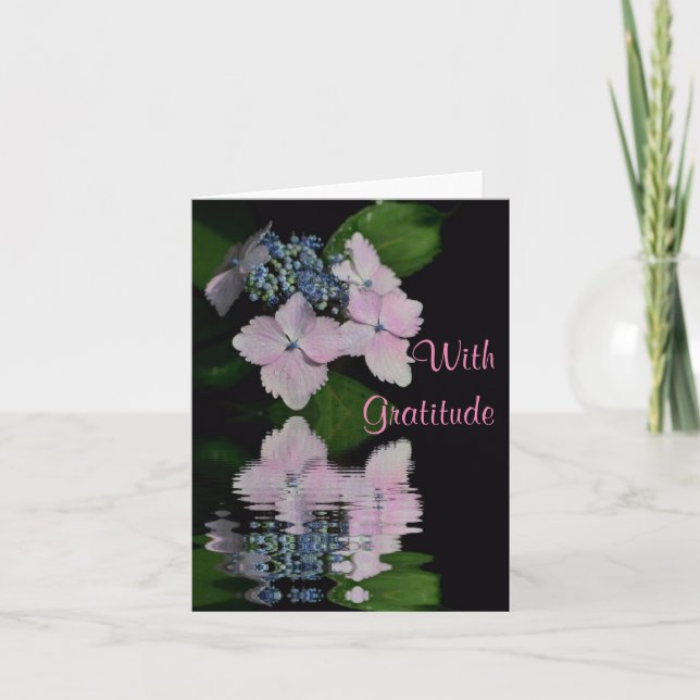 Tarjeta de agradecimiento de Lacecap Hydrangea (Anverso)