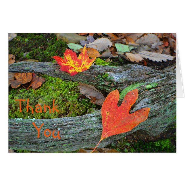 Tarjeta de agradecimiento de las hojas de otoño (Anverso (Horizontal))