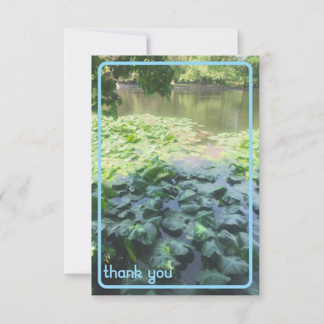 Tarjeta de agradecimiento de Lily Pad (Anverso)