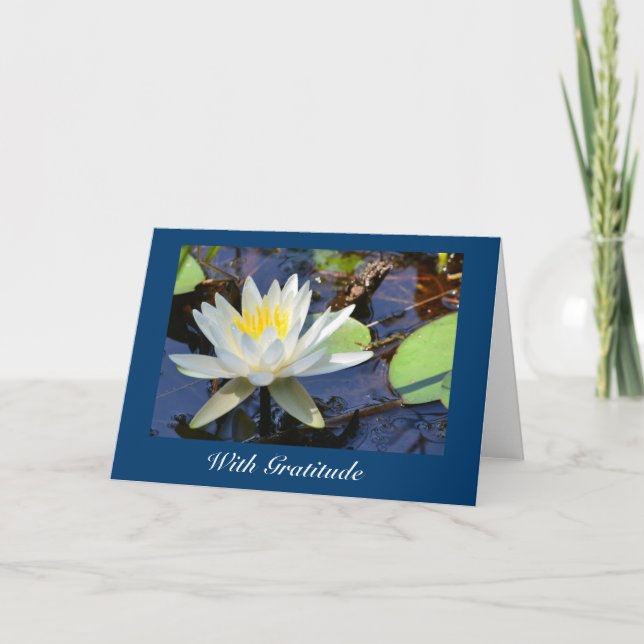 Tarjeta de agradecimiento de Lily Water (Anverso)
