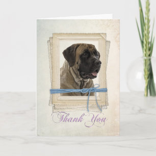 Tarjeta de agradecimiento de Mastiff