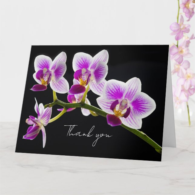 Tarjeta de agradecimiento de Orquídea Blanca y Púr (Orquídea)