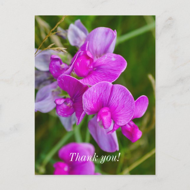 Tarjeta de agradecimiento de orquídeas púrpuras (Anverso)