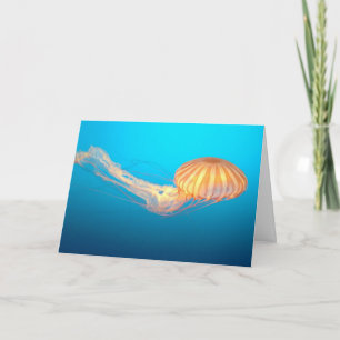 Tarjeta de agradecimiento de ortiga de mar flotand