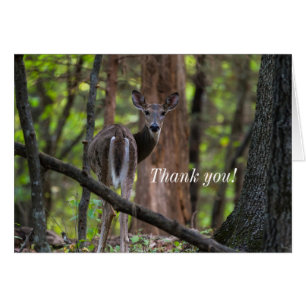 Tarjeta de agradecimiento de Paintery