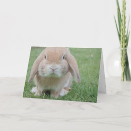 Tarjeta de agradecimiento de Pascua