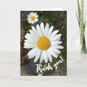 Tarjeta de agradecimiento de Perky White Daisy Flo