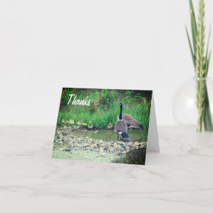 Tarjeta de agradecimiento de Personalizable de la 