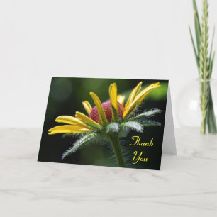 Tarjeta de agradecimiento de pétalos de flores