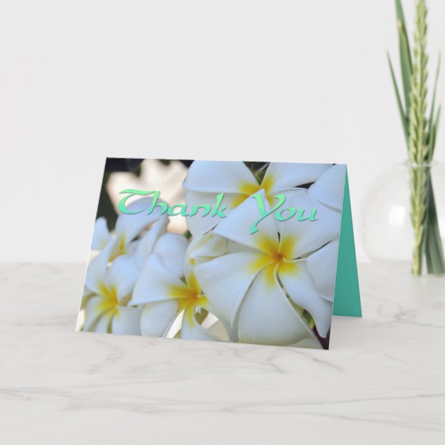Tarjeta de agradecimiento de Plumeria Tropical (Anverso)