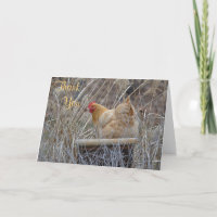 Tarjeta De Agradecimiento De Pollo En Una Bota