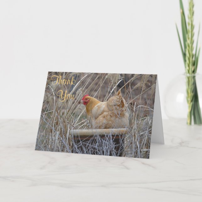 Tarjeta De Agradecimiento De Pollo En Una Bota (Anverso)