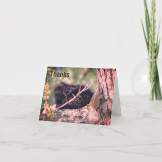 Tarjeta de agradecimiento de Porcupine In Tree Wil
