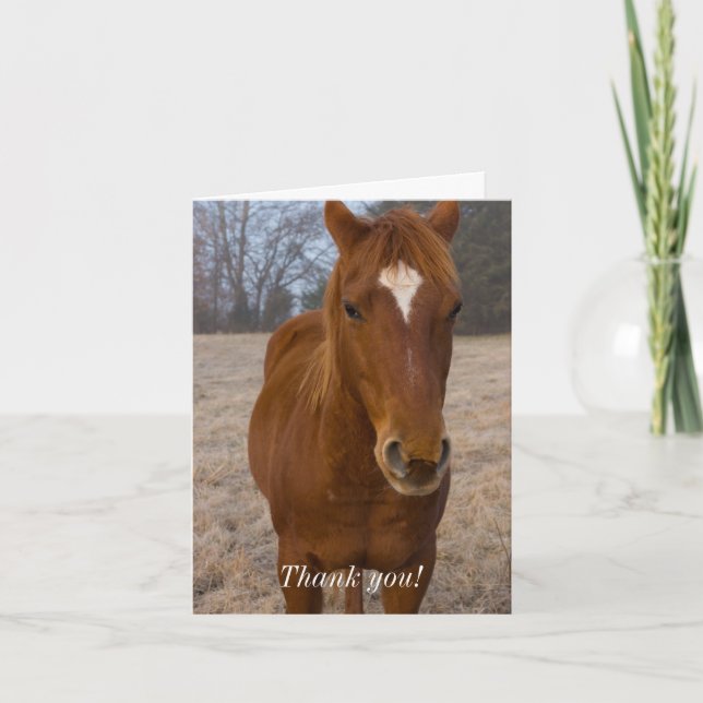 Tarjeta de agradecimiento de postura de caballo (Anverso)