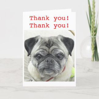 Tarjeta de agradecimiento de Pug