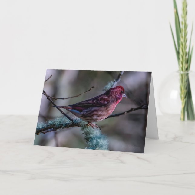 Tarjeta de agradecimiento de Purple Finch (Anverso)